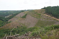 DSC00259