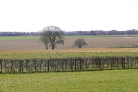 DSC03803