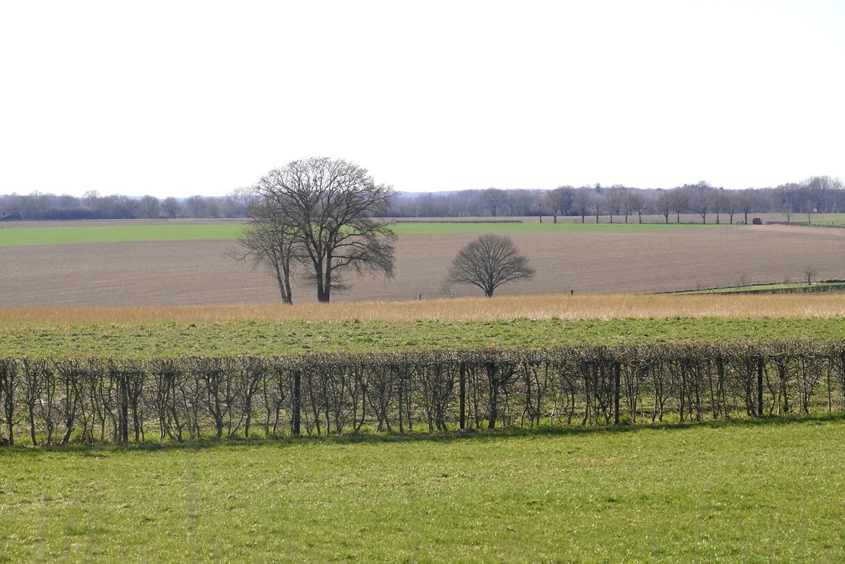 DSC03803