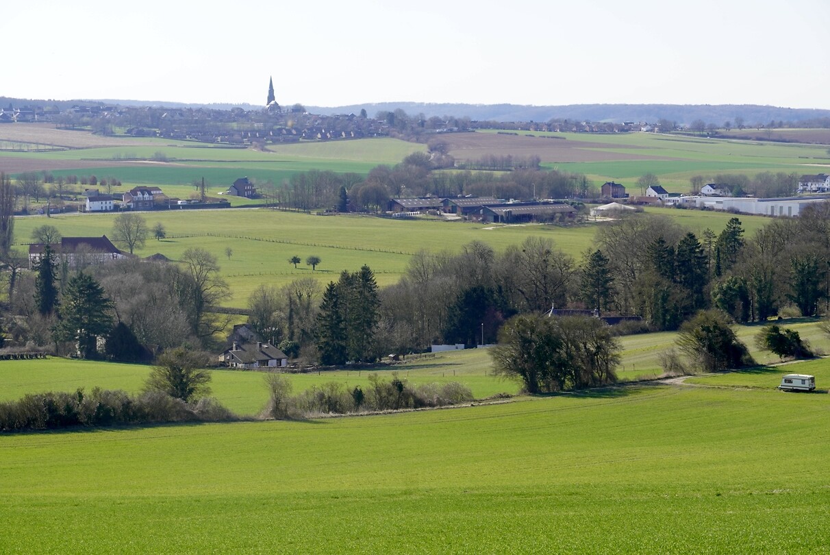 DSC03807