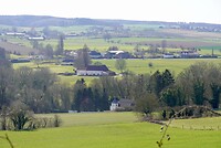 DSC03806
