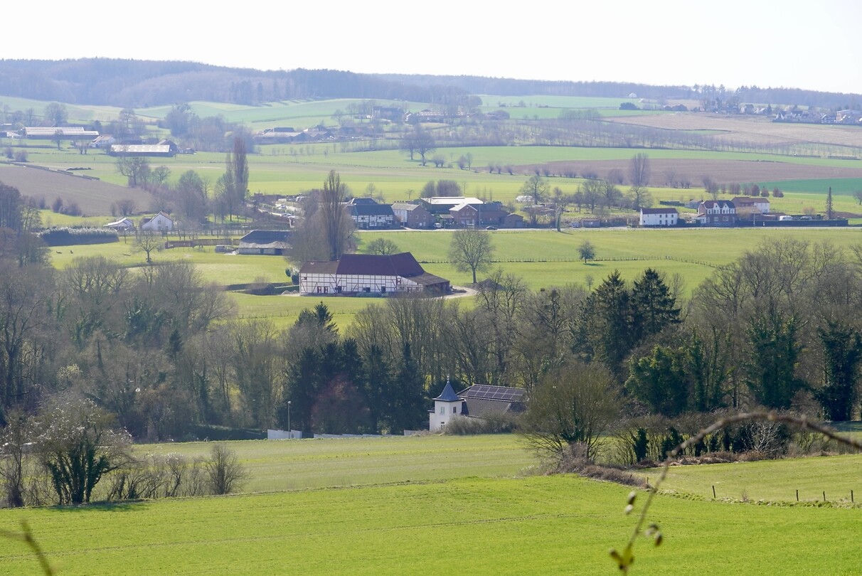 DSC03806