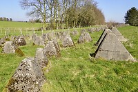 DSC03797