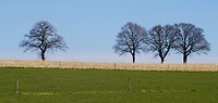 DSC03824