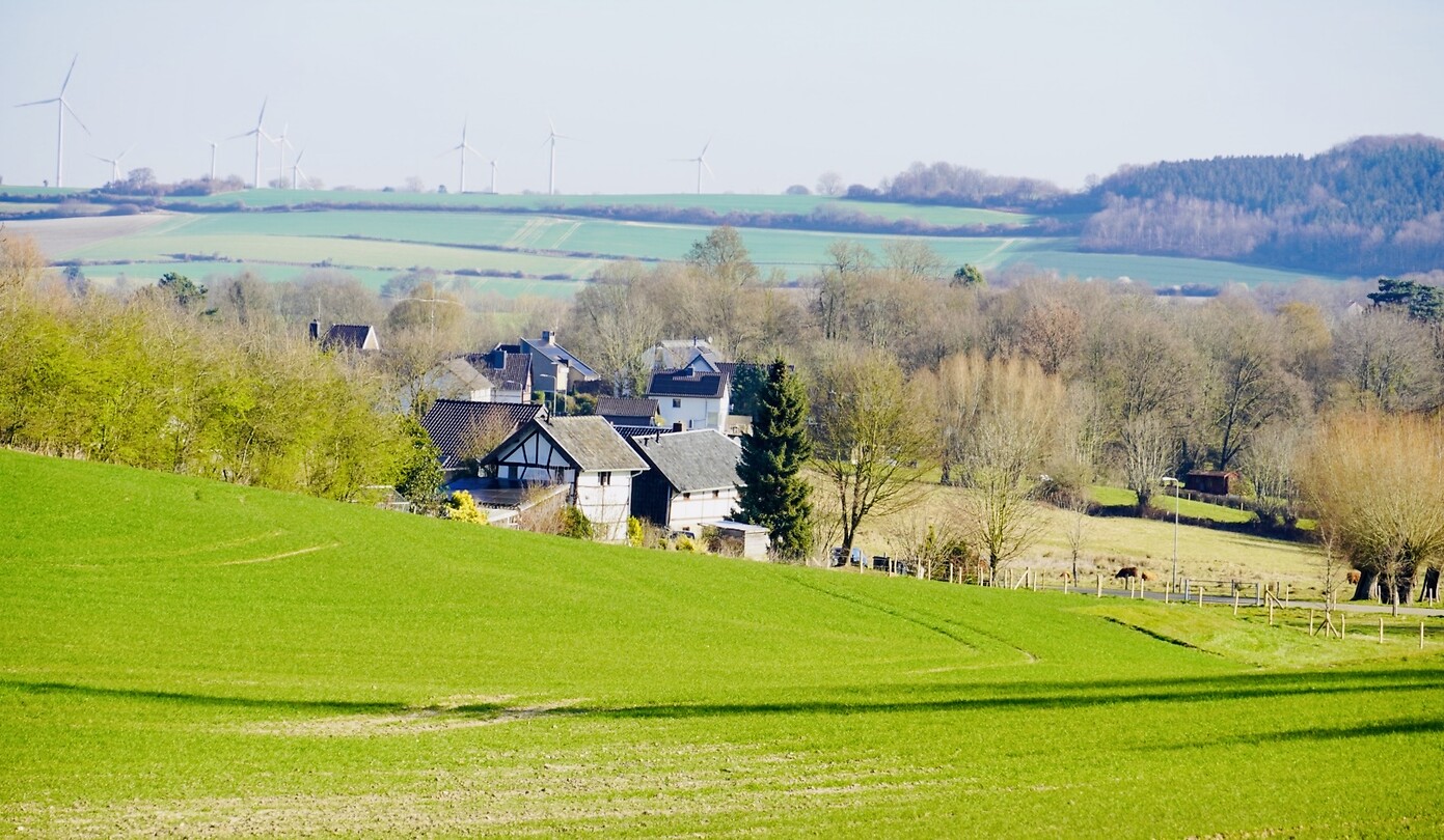 DSC03814