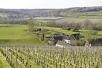 DSC03836