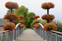 DSC05035