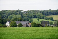 DSC05019