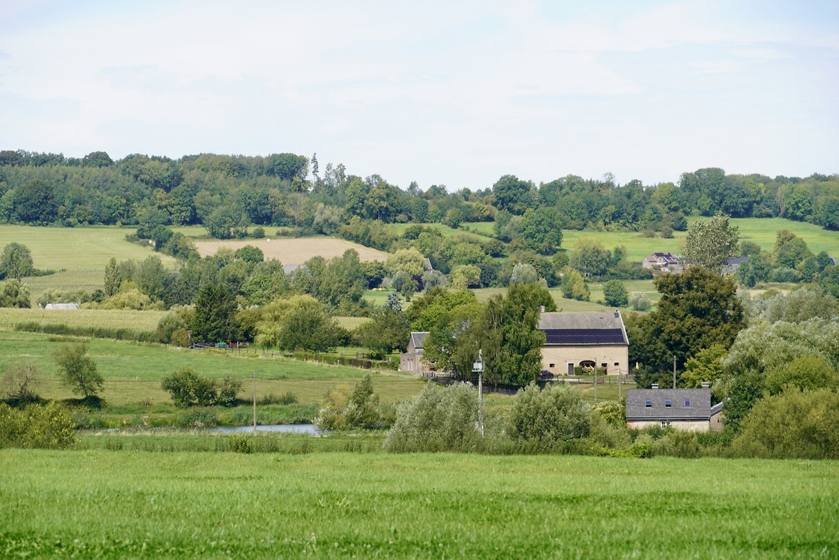DSC05020