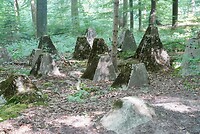 DSC05010