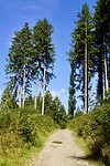 DSC05009