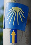 DSC05008