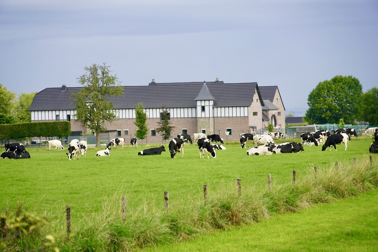 DSC05037