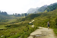 DSC05411