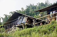 DSC05410