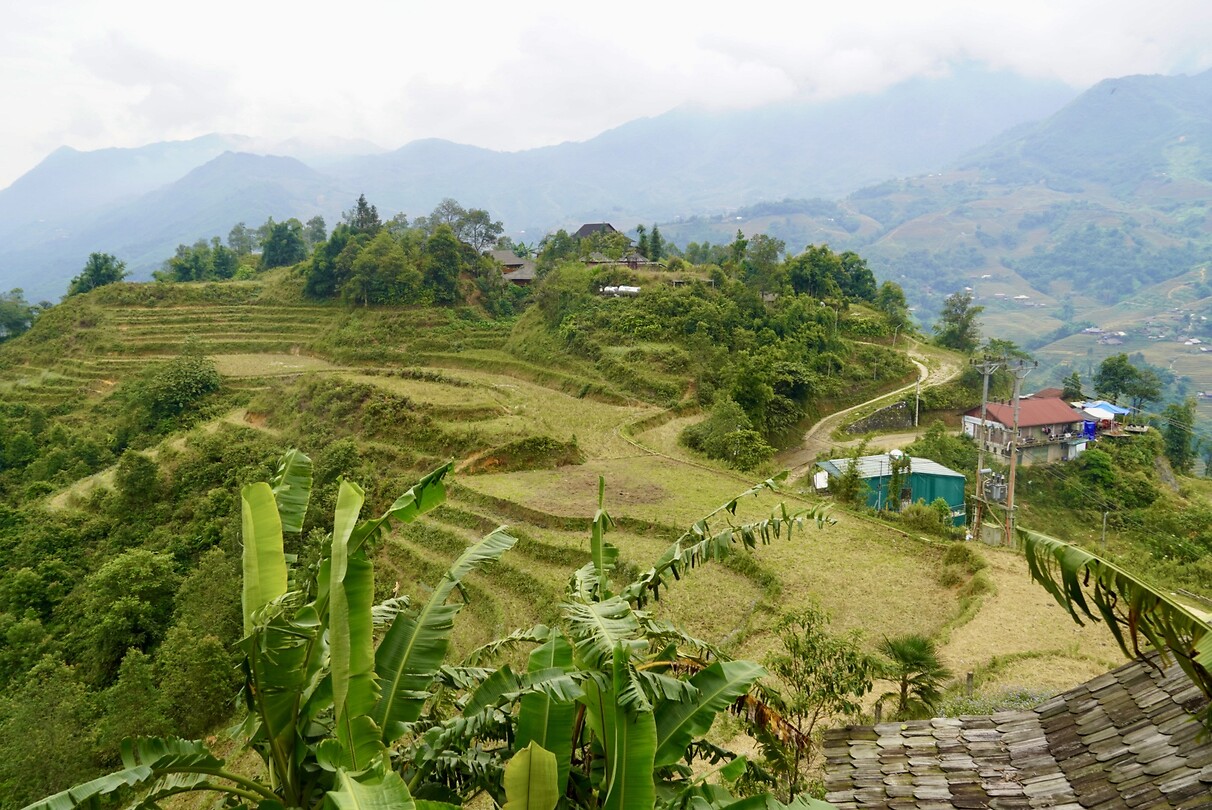 DSC05400