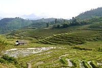 DSC05417