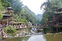 DSC05419
