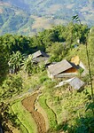 DSC05431