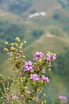 DSC05501