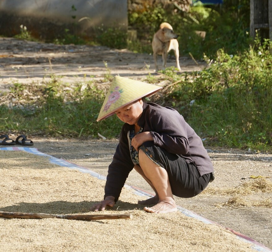 DSC05550