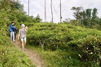 DSC05548