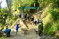 DSC05556