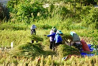 DSC05560
