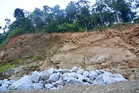 DSC05563