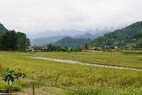 DSC05640