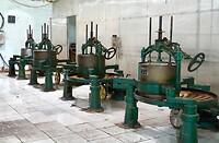 DSC05621