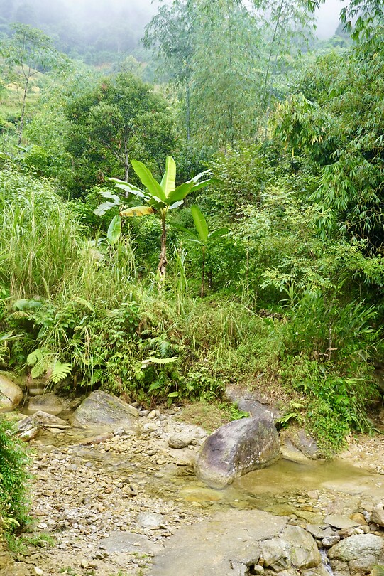 DSC05602