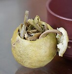 DSC05586