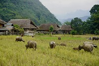 DSC05645
