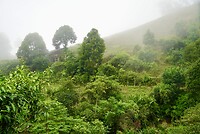 DSC05598