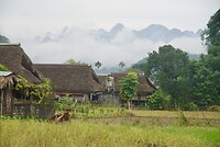 DSC05666
