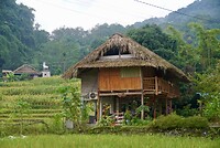 DSC05668
