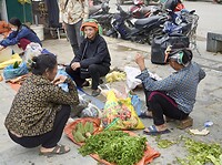DSC05699