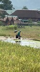 IMG_8755