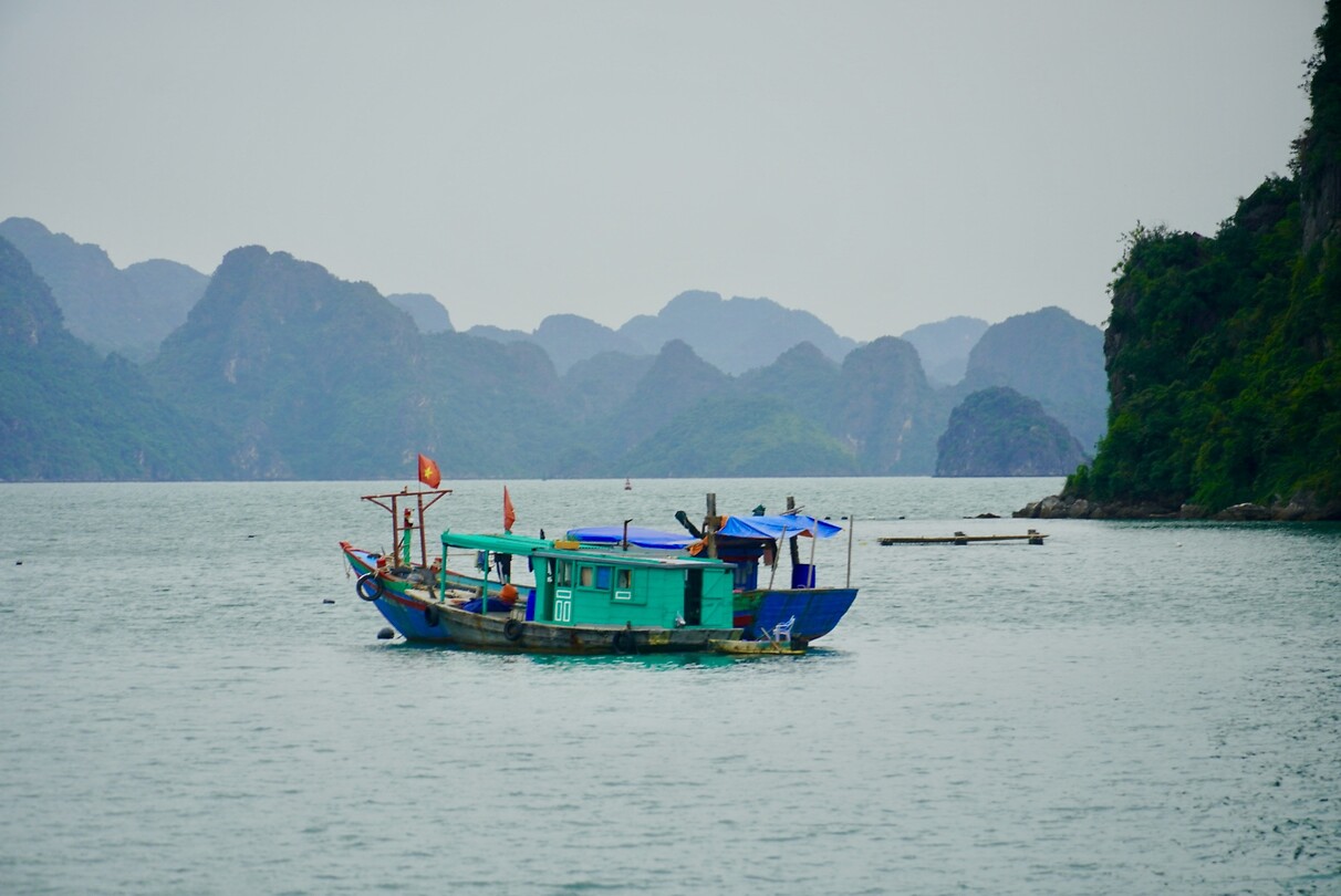 DSC05741
