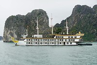 DSC05742