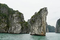 DSC05751