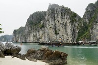 DSC05785