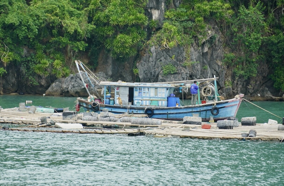 DSC05737