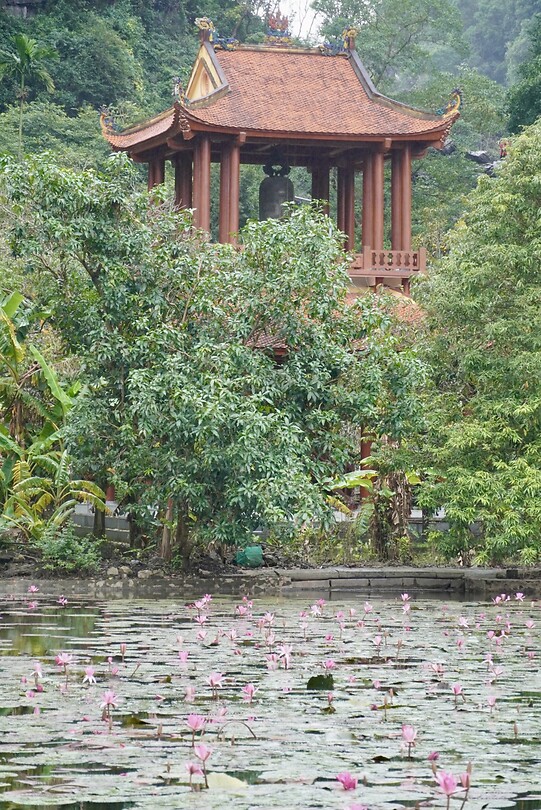 DSC05948