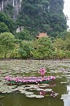 DSC05946