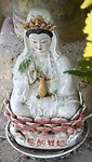 DSC05952