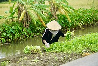 DSC05957