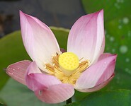 DSC05974