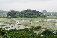 DSC05977